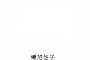 海雾灯塔记雾中海边灯塔封面